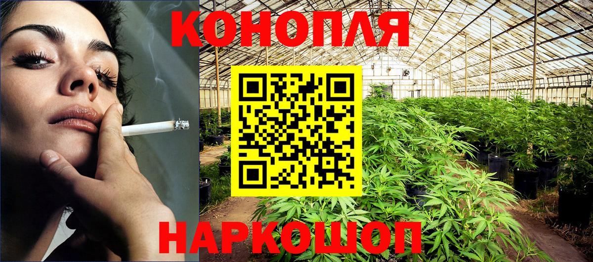 Бошки марихуана планчик Троицк